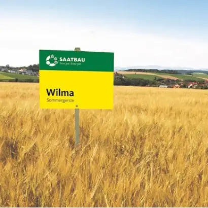 Wilma / Вільма