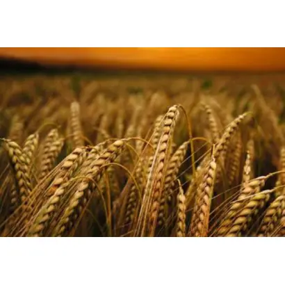 Гарант Преміум