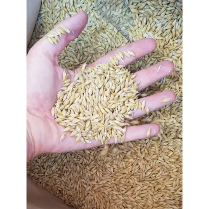 Ellinor / Елінор