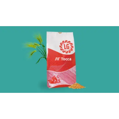 LG Tosca / ЛГ Тосса