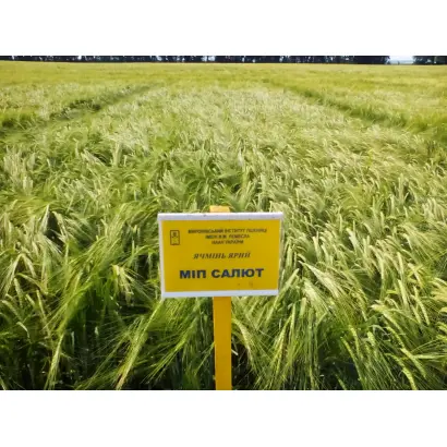 МІП Салют