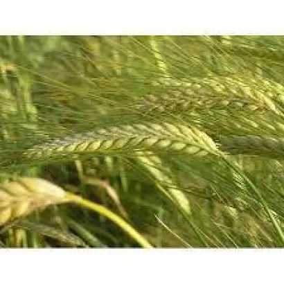 Odyssey / Одіссей