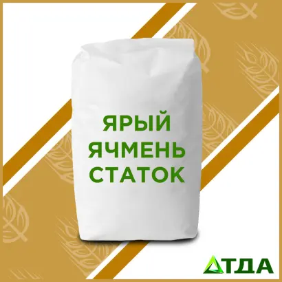 Статок