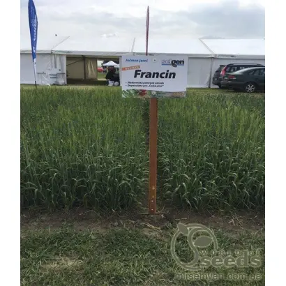 FRANCIN / ФРАНЦИН