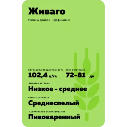 Schiwago / Шиваго