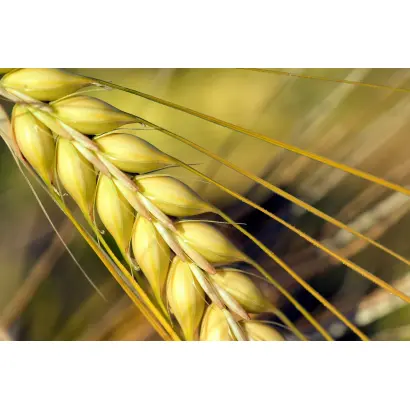 Вінницький 28