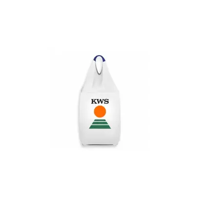 KWS Asta / КВС Аста