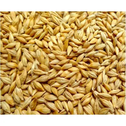 KWS Tinka / КВС Тінка