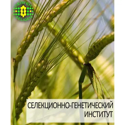 Одесский 115 / Одеський 115