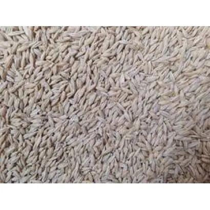 Одесский 151 / Одеський 151