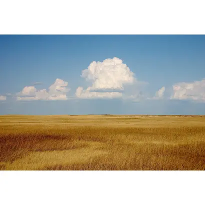 Прерия (Степной 1) / Прерія