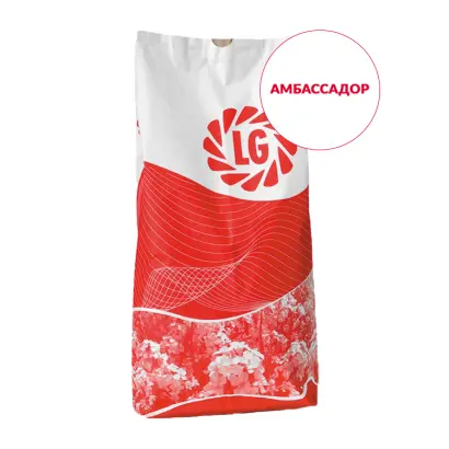 Ambassador / Амбассадор