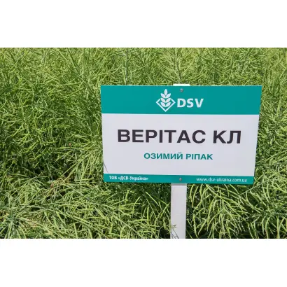 Veritas CL / Верітас КЛ