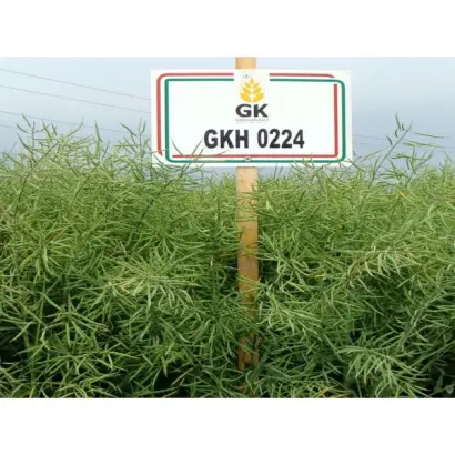 GKH 0224 / ГКХ 0224