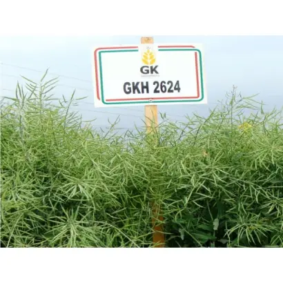 GKH 2624 / ГКХ 2624