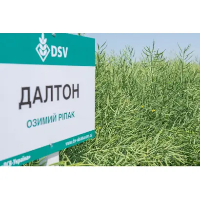 Dalton / Далтон