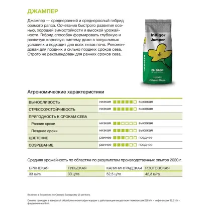 Jumper / Джампер