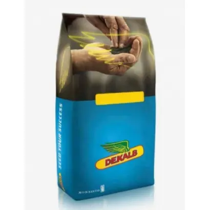 DK Exception / ДК Ексепшн