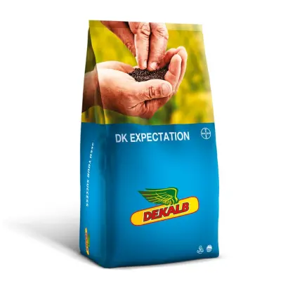DK EXPECTATION / ДК ЕКСПЕКТЕЙШН