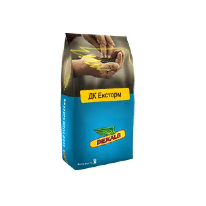 DK Exstorm / ДК Ексторм