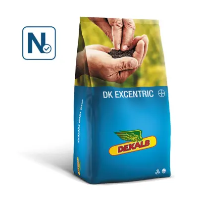 DK EXCENTRIC / ДК ЕКСЦЕНТРИК