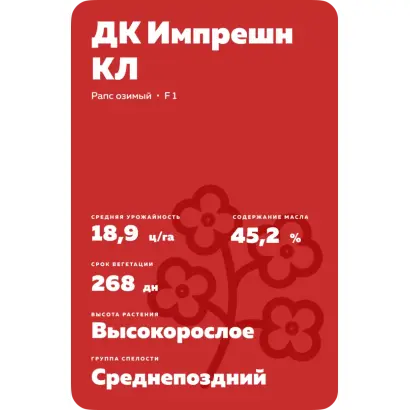 DK Impression CL / ДК Імпрешн КЛ