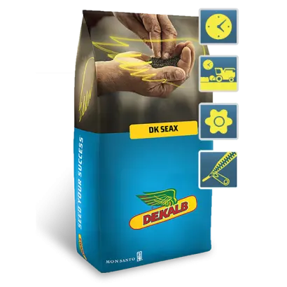 DK Seax / ДК Сеакс