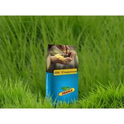 Dk Sedona / ДК Седона