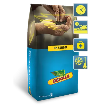 DK Sensei / ДК Сенсей