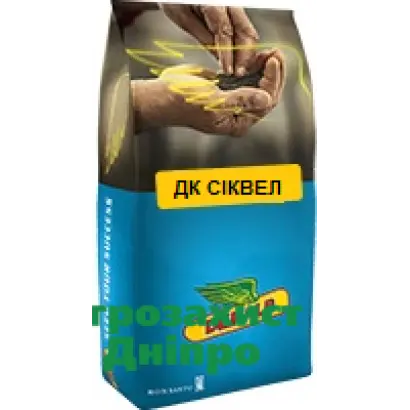 DK Sequel / ДК Сіквел