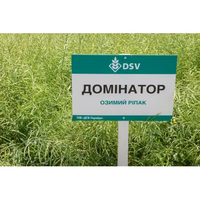 Dominator / Домінатор