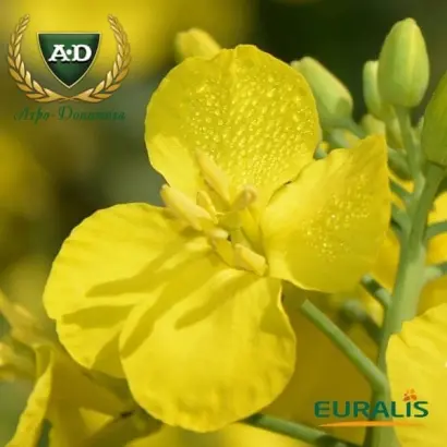 ЕС Гідромель