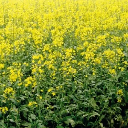 INV1024 / ІНВ1024