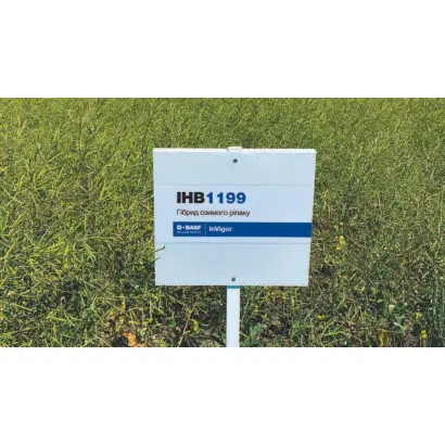 INV1199 / ІНВ1199