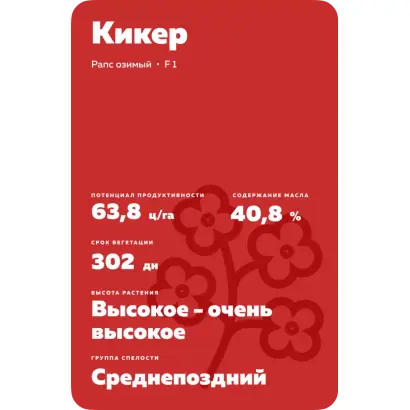 KICKER / КІКЕР