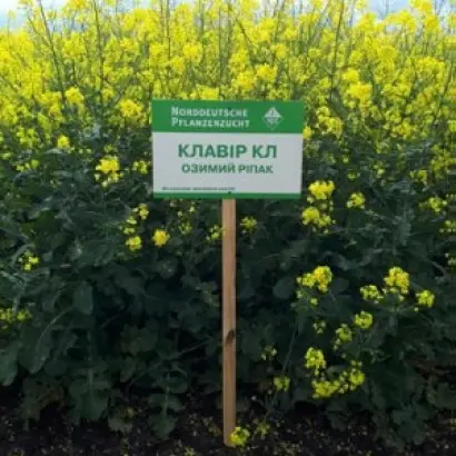 CLAVIER CL / КЛАВІР КЛ