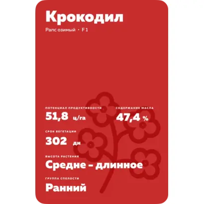 Crocodile / Крокодил