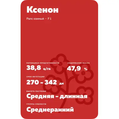 Xenon / Ксенон