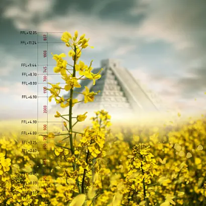 LG AKERMAN / ЛГ АКЕРМАН