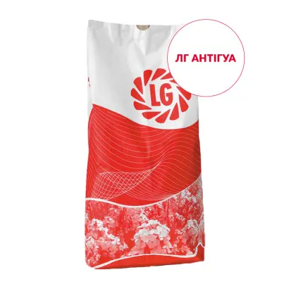 LG Antigua / ЛГ Антігуа