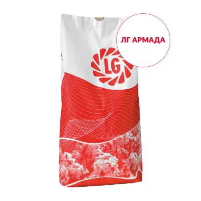 LG ARMADA / ЛГ АРМАДА