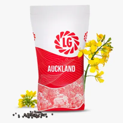 LG Auckland / ЛГ Окленд