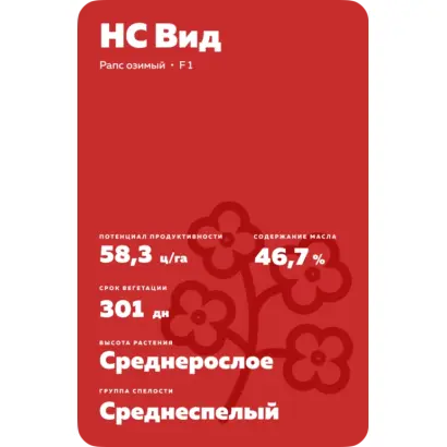 NS Vid / НС Від