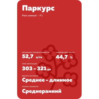 PARCOURS / ПАРКУРС