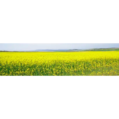 RAGNAR / РАГНАР