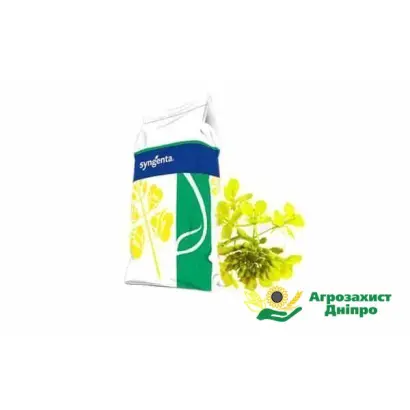 SY Annabella / СИ Анабелла