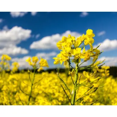 TREZZOR / ТРЕЗЗОР