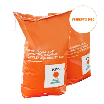 UMBERTO KWS / УМБЕРТО КВС