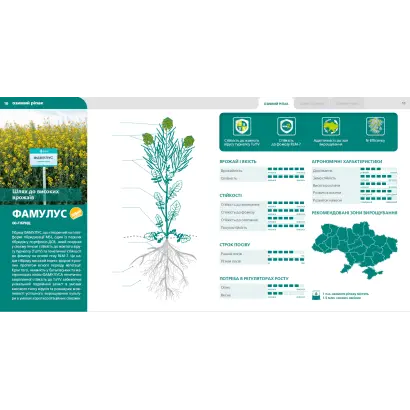 Famulus / Фамулус