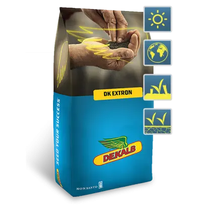 DK Extron / ДК Екстрон